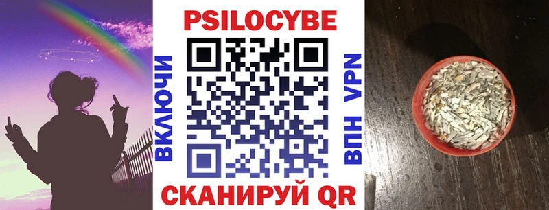 магазин наркотиков Томари Псилоцибиновые грибы мицелий